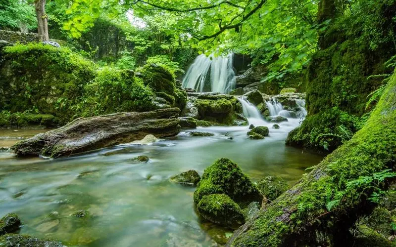 高质量创意